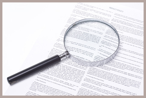 Research & Incite Consultants privacy policy image